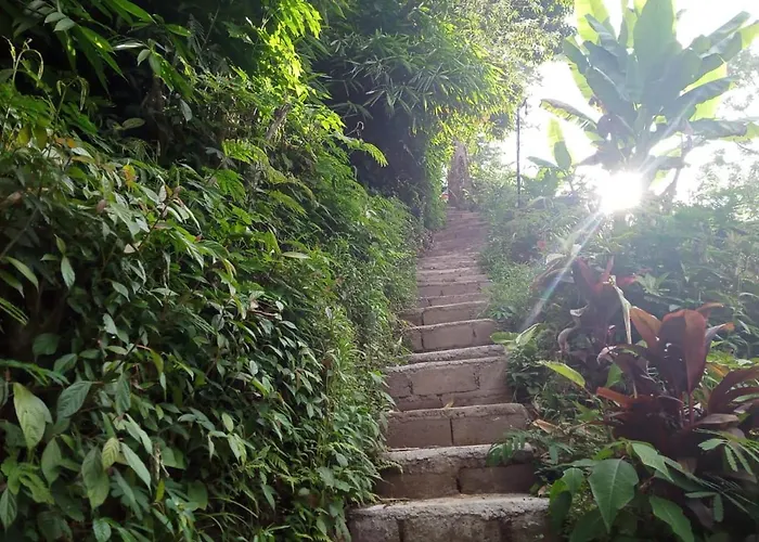 Bedugul Hikers Cabin